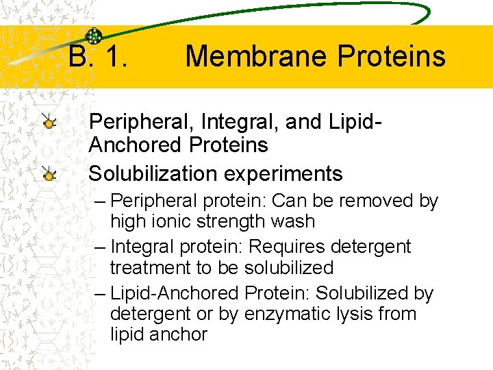 B. 1. Membrane Proteins Peripheral, Integral, and Lipid. Anchored Proteins Solubilization experiments – Peripheral