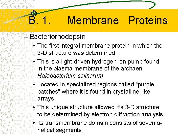 B. 1. Membrane Proteins – Bacteriorhodopsin • The first integral membrane protein in which