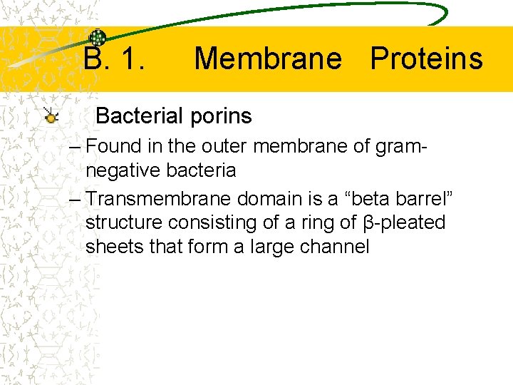 B. 1. Membrane Proteins Bacterial porins – Found in the outer membrane of gramnegative