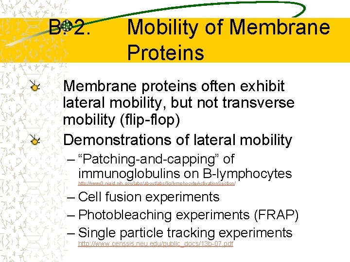 B. 2. Mobility of Membrane Proteins Membrane proteins often exhibit lateral mobility, but not