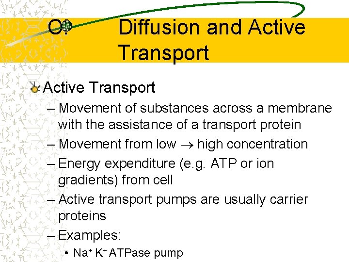 C. Diffusion and Active Transport – Movement of substances across a membrane with the
