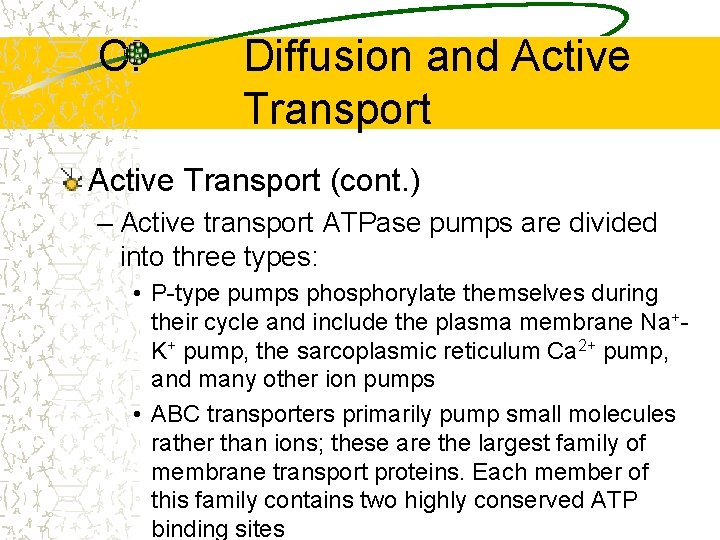 C. Diffusion and Active Transport (cont. ) – Active transport ATPase pumps are divided