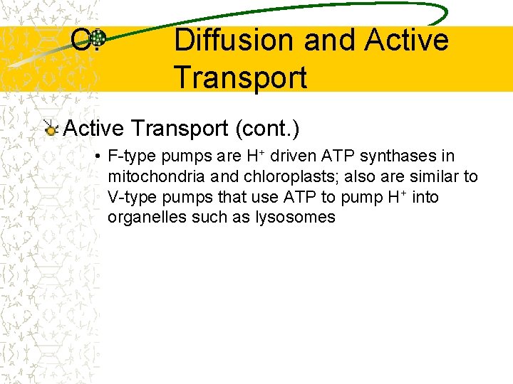 C. Diffusion and Active Transport (cont. ) • F-type pumps are H+ driven ATP