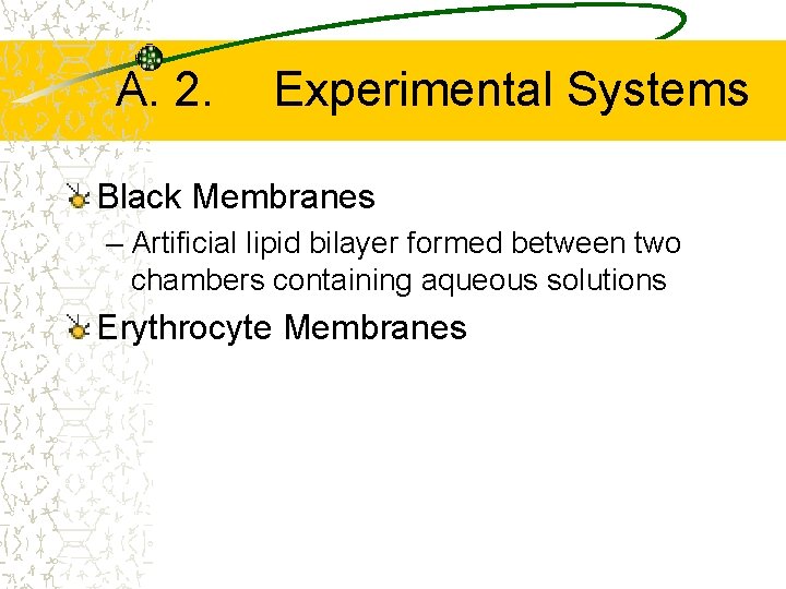 A. 2. Experimental Systems Black Membranes – Artificial lipid bilayer formed between two chambers