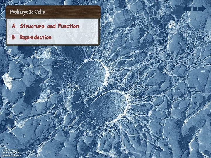 Prokaryotic Cells A. Structure and Function B. Reproduction author unknown address unknown accessed unknown