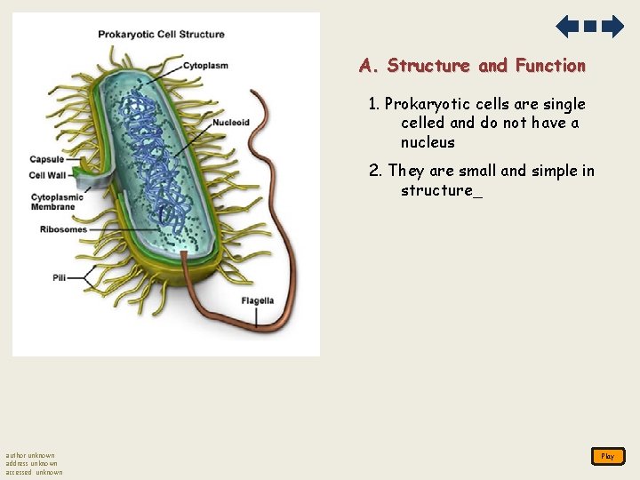 A. Structure and Function 1. Prokaryotic cells are single celled and do not have A. Structure and Function 1. Prokaryotic cells are single celled and do not have