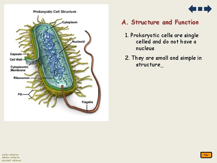 A. Structure and Function 1. Prokaryotic cells are single celled and do not have