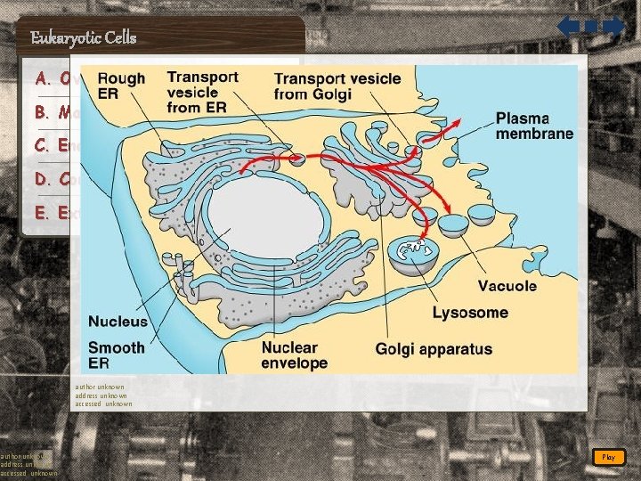 Eukaryotic Cells A. Overview of the Cell B. Manufacture & Breakdown C. Energy, Support,