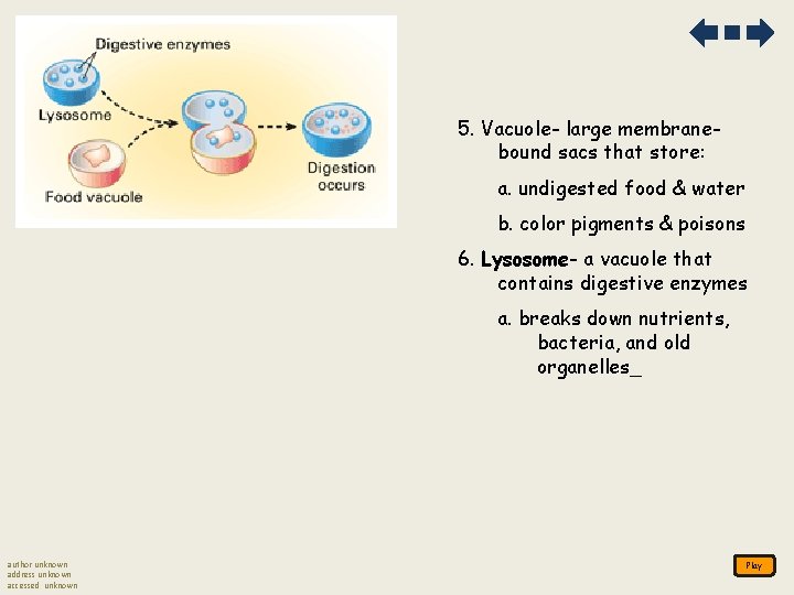 5. Vacuole- large membranebound sacs that store: a. undigested food & water b. color 5. Vacuole- large membranebound sacs that store: a. undigested food & water b. color