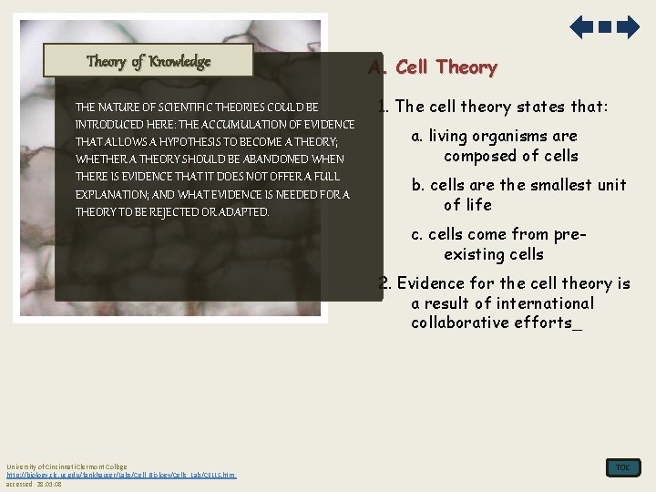 Theory of Knowledge THE NATURE OF SCIENTIFIC THEORIES COULD BE INTRODUCED HERE: THE ACCUMULATION