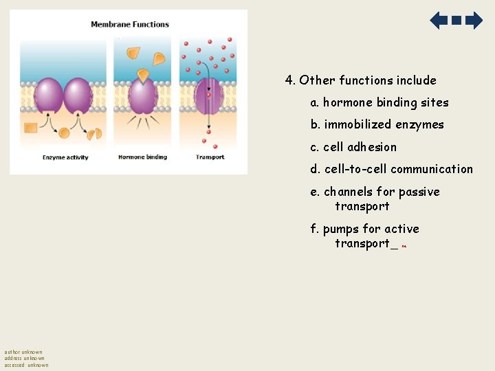 4. Other functions include a. hormone binding sites b. immobilized enzymes c. cell adhesion