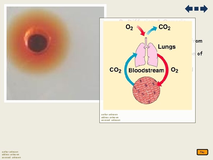 B. Diffusion & Osmosis 1. Diffusion is the passive movement of particles from a