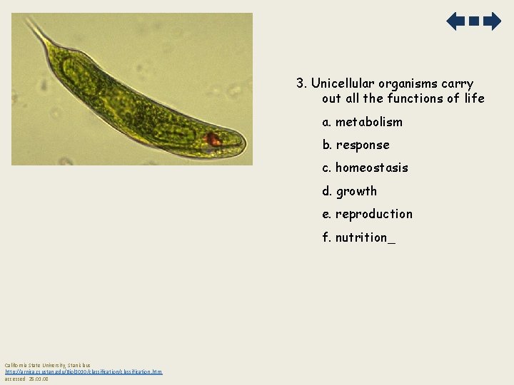 3. Unicellular organisms carry out all the functions of life a. metabolism b. response 3. Unicellular organisms carry out all the functions of life a. metabolism b. response