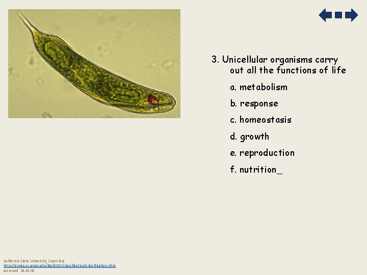 3. Unicellular organisms carry out all the functions of life a. metabolism b. response