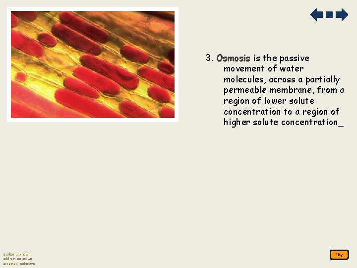 3. Osmosis is the passive movement of water molecules, across a partially permeable membrane,