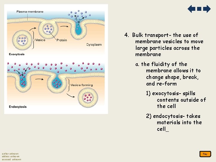 4. Bulk transport- the use of membrane vesicles to move large particles across the 4. Bulk transport- the use of membrane vesicles to move large particles across the