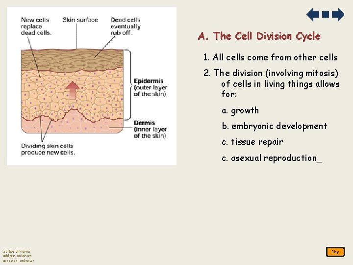 A. The Cell Division Cycle 1. All cells come from other cells 2. The A. The Cell Division Cycle 1. All cells come from other cells 2. The