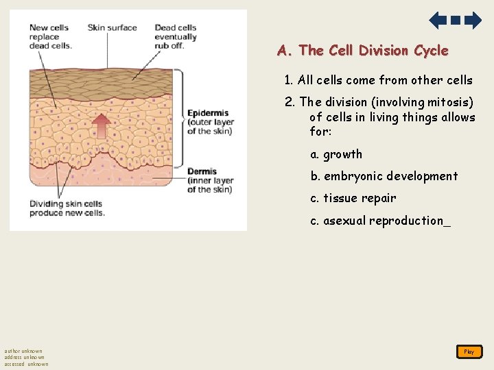 A. The Cell Division Cycle 1. All cells come from other cells 2. The