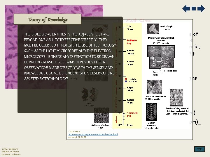 B. Cell Size Theory of Knowledge THE BIOLOGICAL ENTITIES IN THE ADJACENT LIST ARE