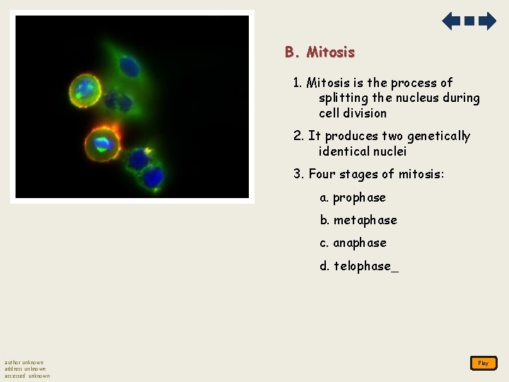 B. Mitosis 1. Mitosis is the process of splitting the nucleus during cell division B. Mitosis 1. Mitosis is the process of splitting the nucleus during cell division