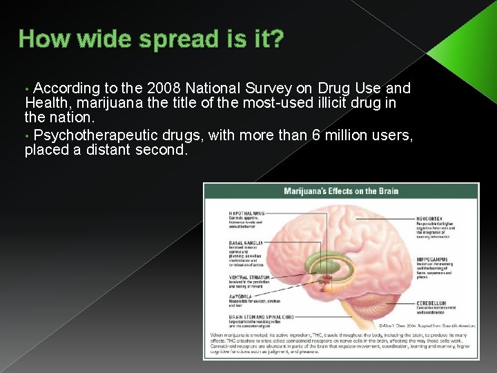 How wide spread is it? According to the 2008 National Survey on Drug Use