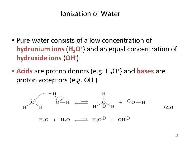 Ionization of Water • Pure water consists of a low concentration of hydronium ions