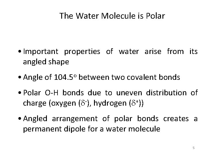 The Water Molecule is Polar • Important properties of water arise from its angled