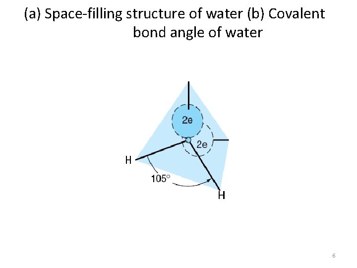 (a) Space-filling structure of water (b) Covalent bond angle of water 6 