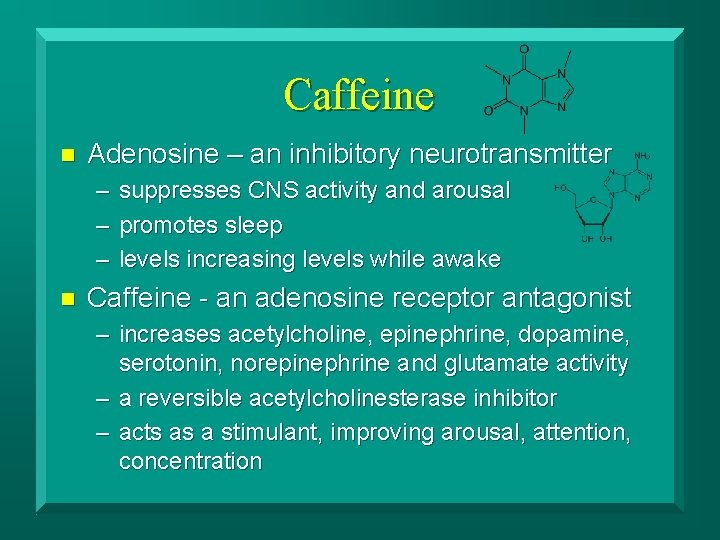 Caffeine n Adenosine – an inhibitory neurotransmitter – – – n suppresses CNS activity