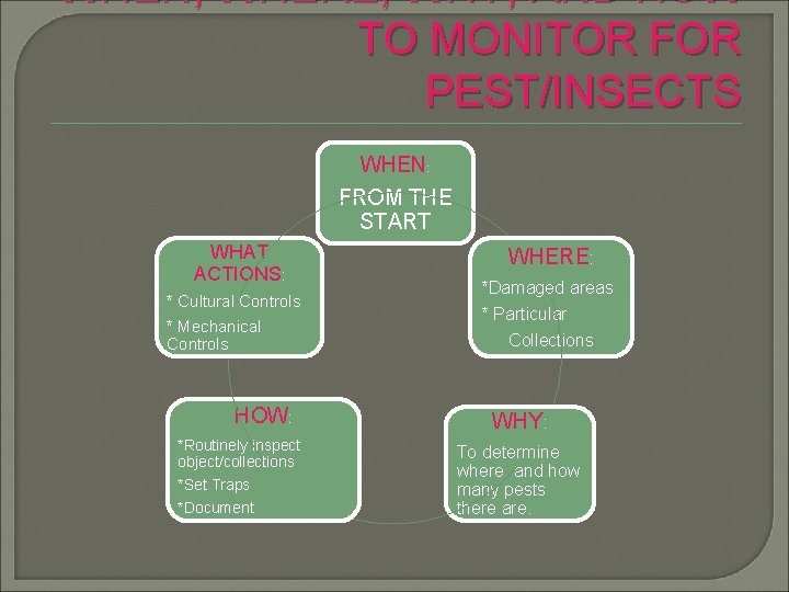 WHEN, WHERE, WHY, AND HOW TO MONITOR FOR PEST/INSECTS WHEN: FROM THE START WHAT