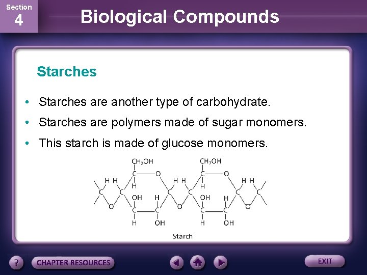 Section 4 Biological Compounds Starches • Starches are another type of carbohydrate. • Starches