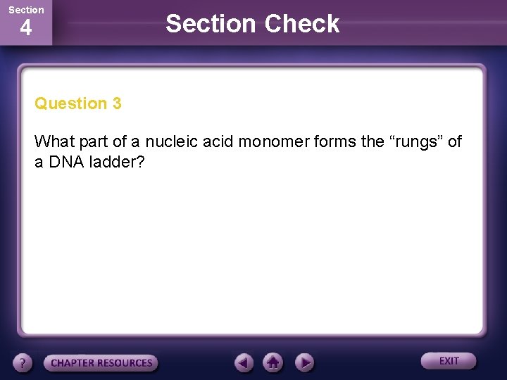 Section 4 Section Check Question 3 What part of a nucleic acid monomer forms