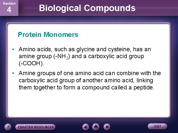 Section 4 Biological Compounds Protein Monomers • Amino acids, such as glycine and cysteine,