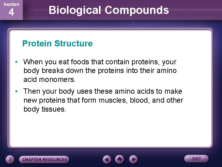 Section 4 Biological Compounds Protein Structure • When you eat foods that contain proteins,