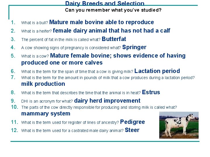 Dairy Breeds and Selection Can you remember what you’ve studied? 1. 2. 3. 4.