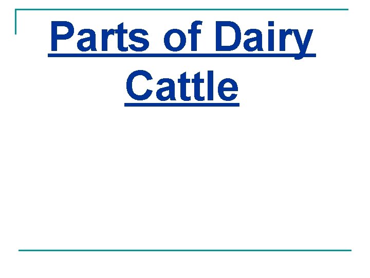 Parts of Dairy Cattle 