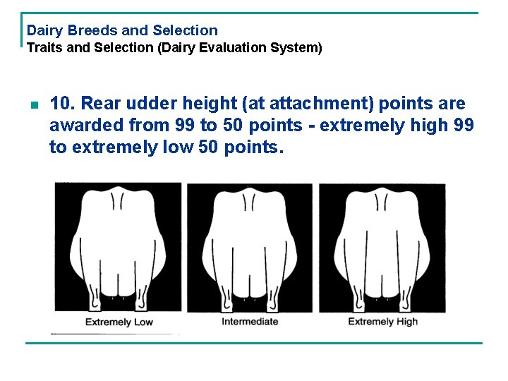 Dairy Breeds and Selection Traits and Selection (Dairy Evaluation System) n 10. Rear udder