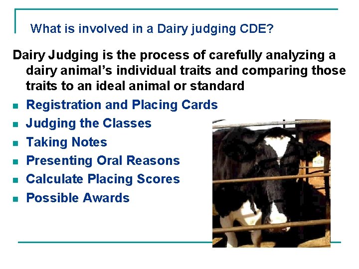 What is involved in a Dairy judging CDE? Dairy Judging is the process of