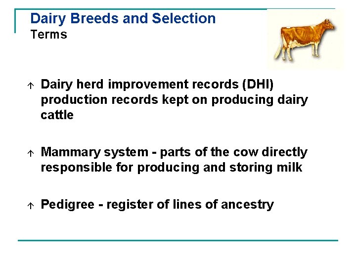 Dairy Breeds and Selection Terms á Dairy herd improvement records (DHI) production records kept