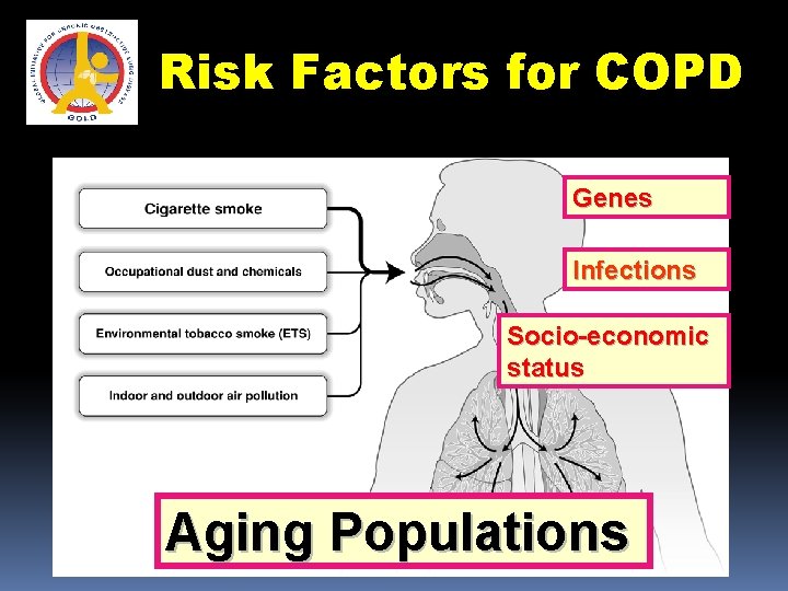 Risk Factors for COPD Genes Infections Socio-economic status Aging Populations 