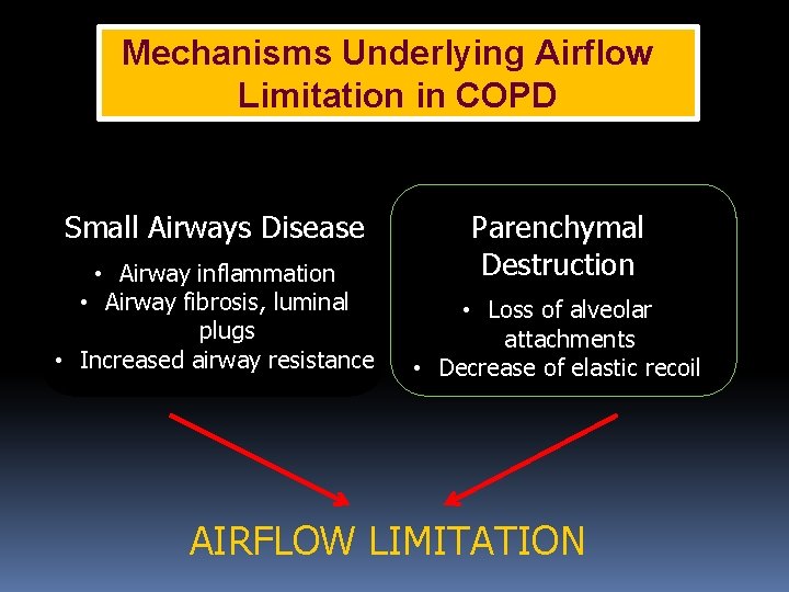 Mechanisms Underlying Airflow Limitation in COPD Small Airways Disease • Airway inflammation • Airway