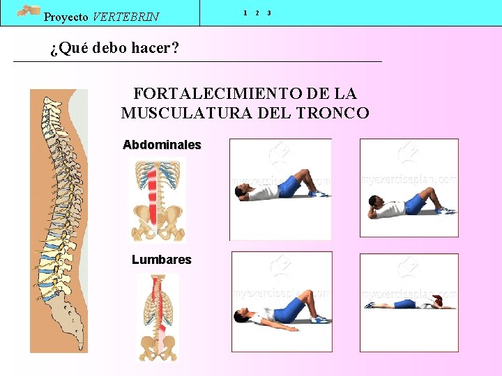 Proyecto VERTEBRIN 1 2 3 ¿Qué debo hacer? FORTALECIMIENTO DE LA MUSCULATURA DEL TRONCO