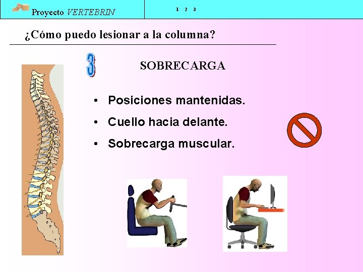 Proyecto VERTEBRIN 1 2 3 ¿Cómo puedo lesionar a la columna? SOBRECARGA • Posiciones