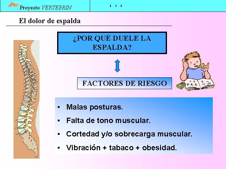 1 Proyecto VERTEBRIN 2 3 El dolor de espalda ¿POR QUÉ DUELE LA ESPALDA?