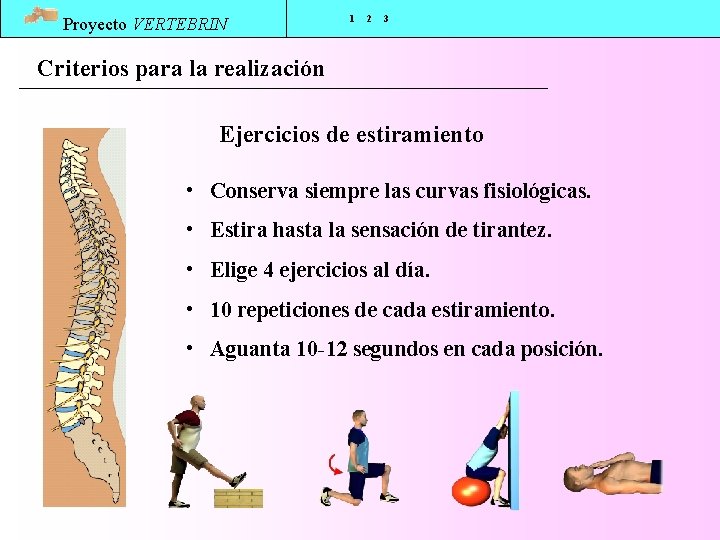 Proyecto VERTEBRIN 1 2 3 Criterios para la realización Ejercicios de estiramiento • Conserva