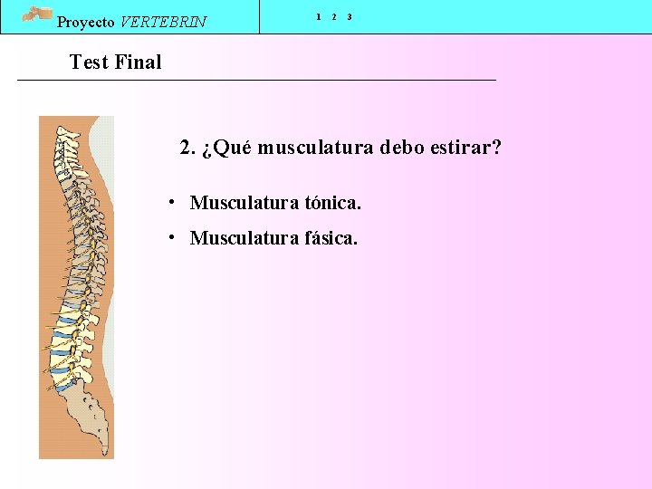 Proyecto VERTEBRIN 1 2 3 Test Final 2. ¿Qué musculatura debo estirar? • Musculatura