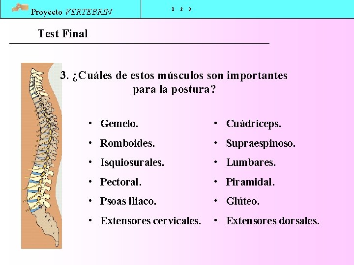 Proyecto VERTEBRIN 1 2 3 Test Final 3. ¿Cuáles de estos músculos son importantes