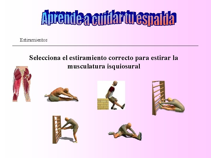 Estiramientos Selecciona el estiramiento correcto para estirar la musculatura isquiosural 