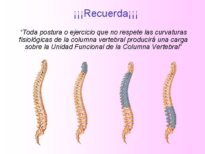 ¡¡¡Recuerda¡¡¡ “Toda postura o ejercicio que no respete las curvaturas fisiológicas de la columna