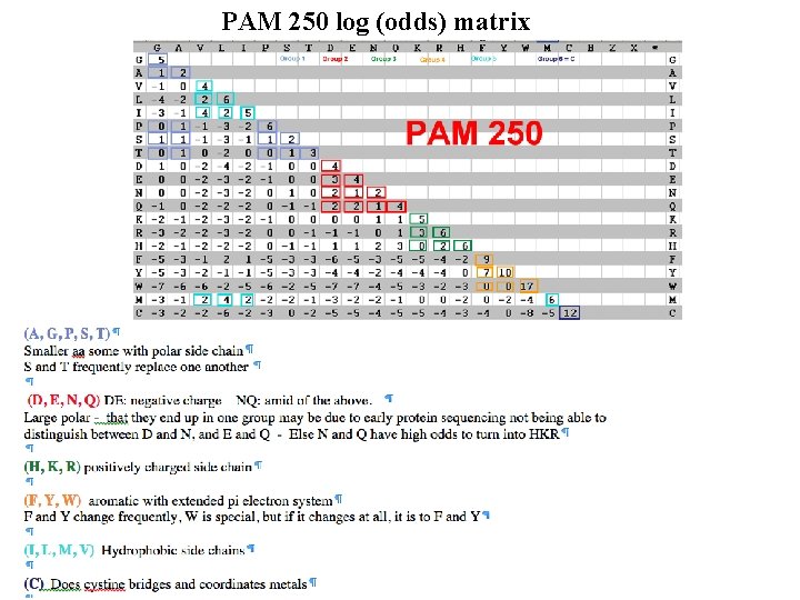 PAM 250 log (odds) matrix 